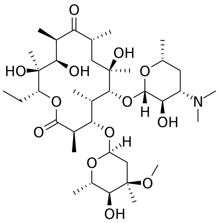 Erythromycin