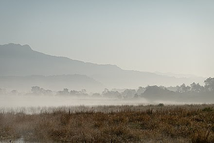 Jim Corbett National Park