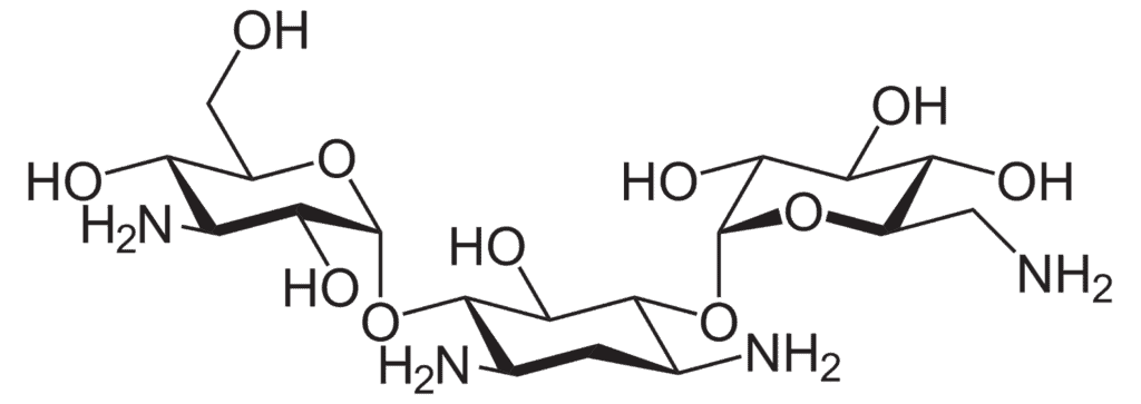 Kanamycin