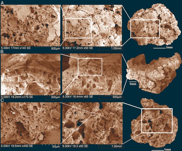 Neolithic Bread: Breaking Bread Across 14,000 Years