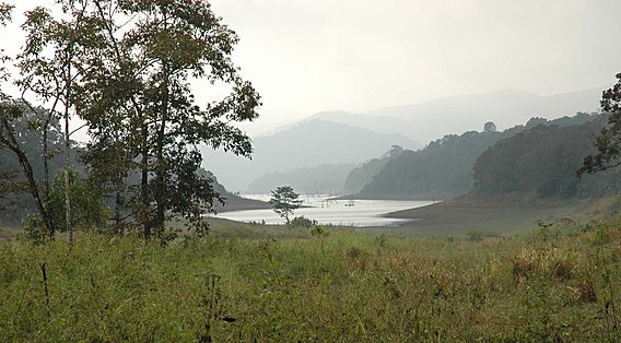 Periyar National Park