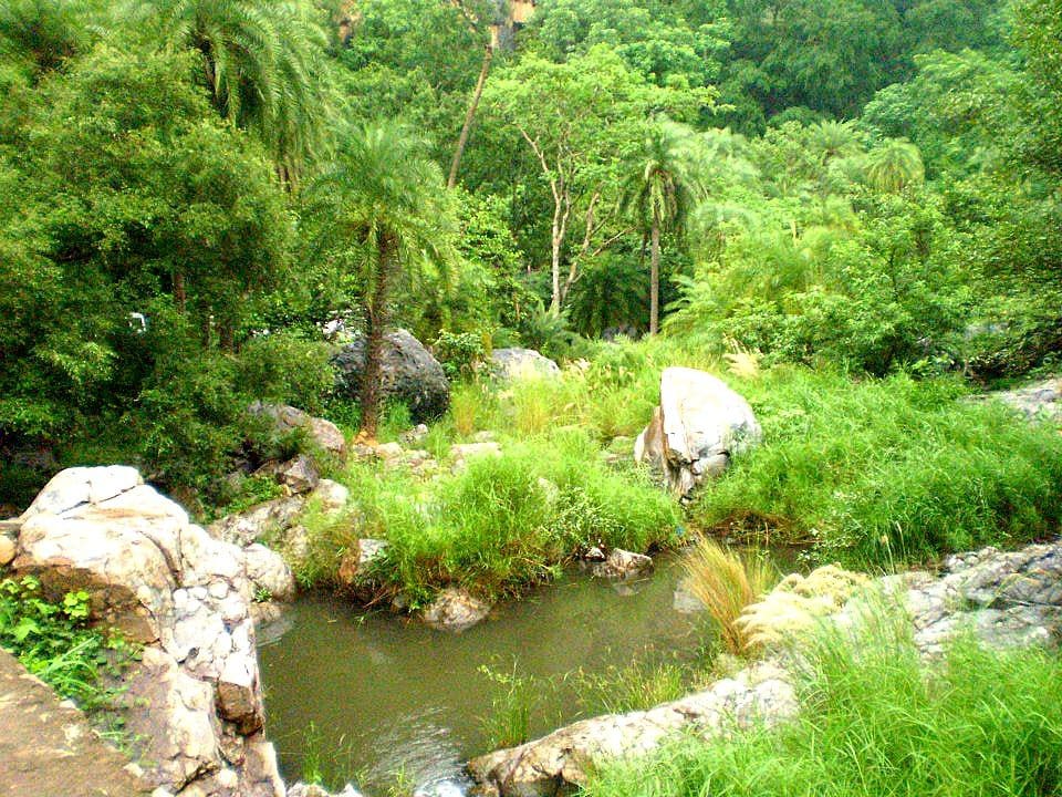 Sariska Tiger Reserve