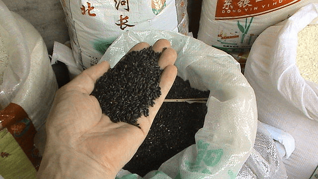 Chinese Black Rice