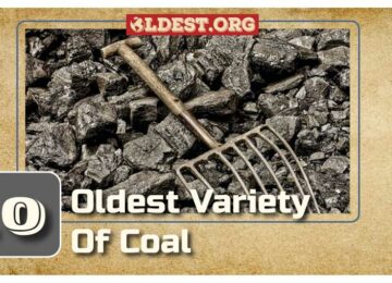 Oldest Varieties of Coal