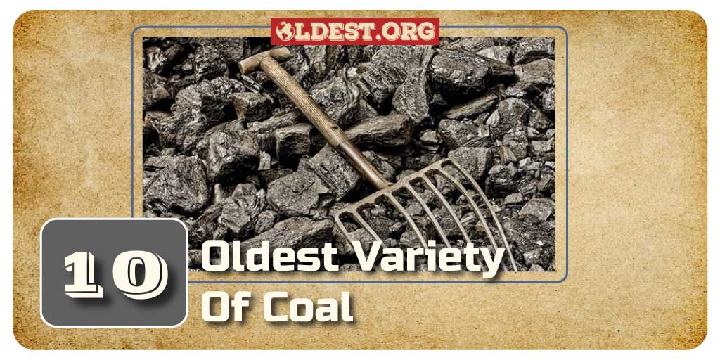 Oldest Varieties of Coal