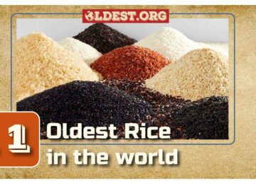 Oldest Varieties of Rice