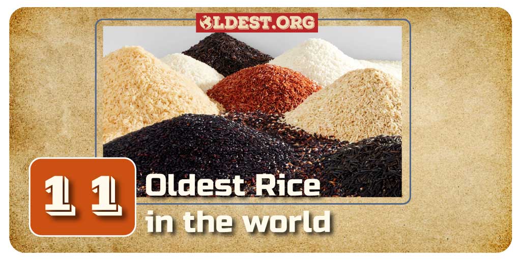 Oldest Varieties of Rice