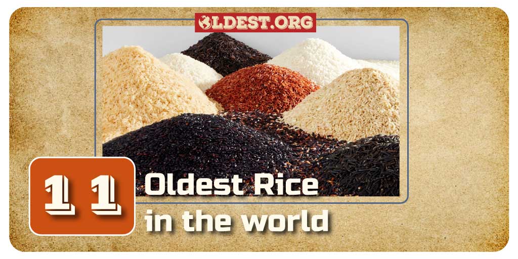 Oldest Varieties of Rice