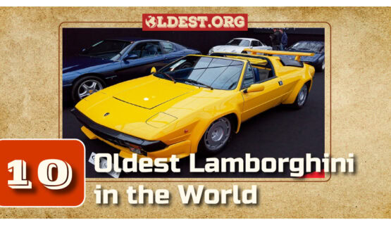 Oldest Lamborghini in the World
