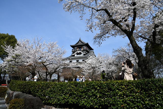 Inuyama Castle