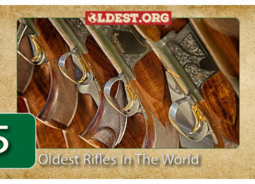 Oldest Rifles In The World