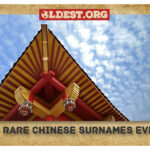 Rare Chinese Surnames Ever