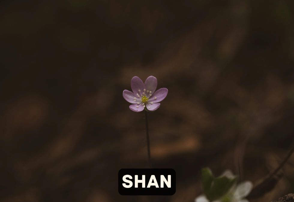 13 Rare Chinese Surnames Ever - Oldest.org