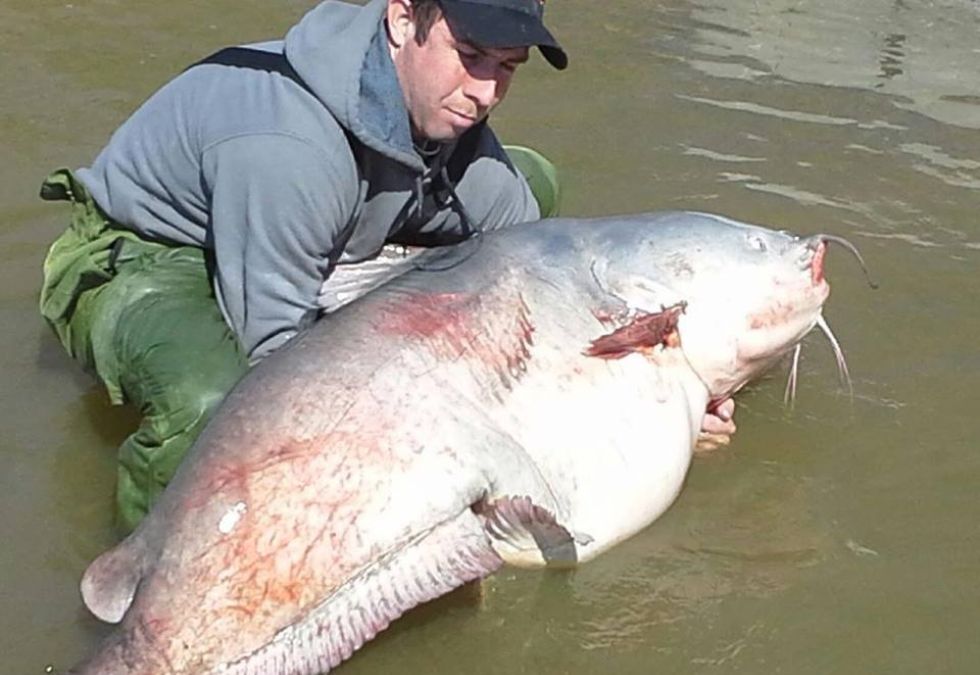 12 Largest Catfish Catch Ever - Oldest.org