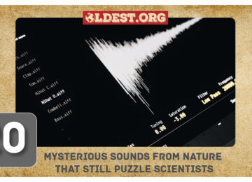 Mysterious Sounds From Nature