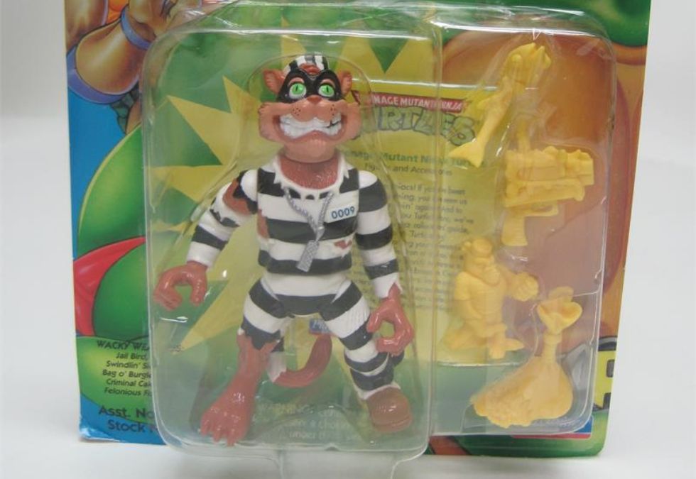 Teenage Mutant Ninja Turtles Scratch the Cat