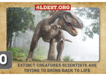 Extinct Creatures Scientists Are Trying To Bring Back To Life
