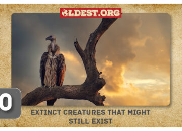 Extinct Creatures That Might Still Exist