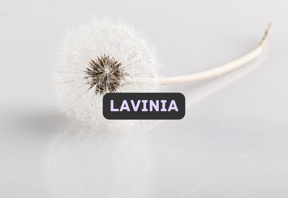 Lavinia
