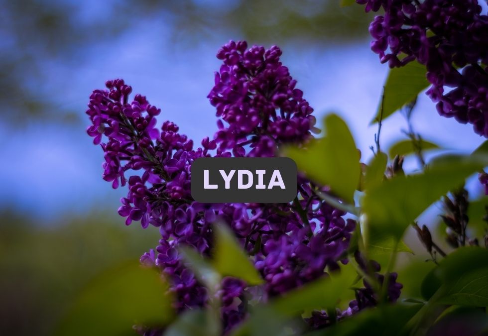Lydia