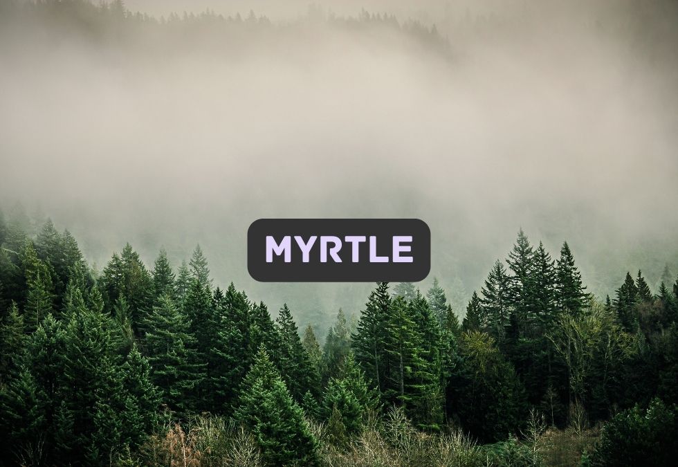 Myrtle