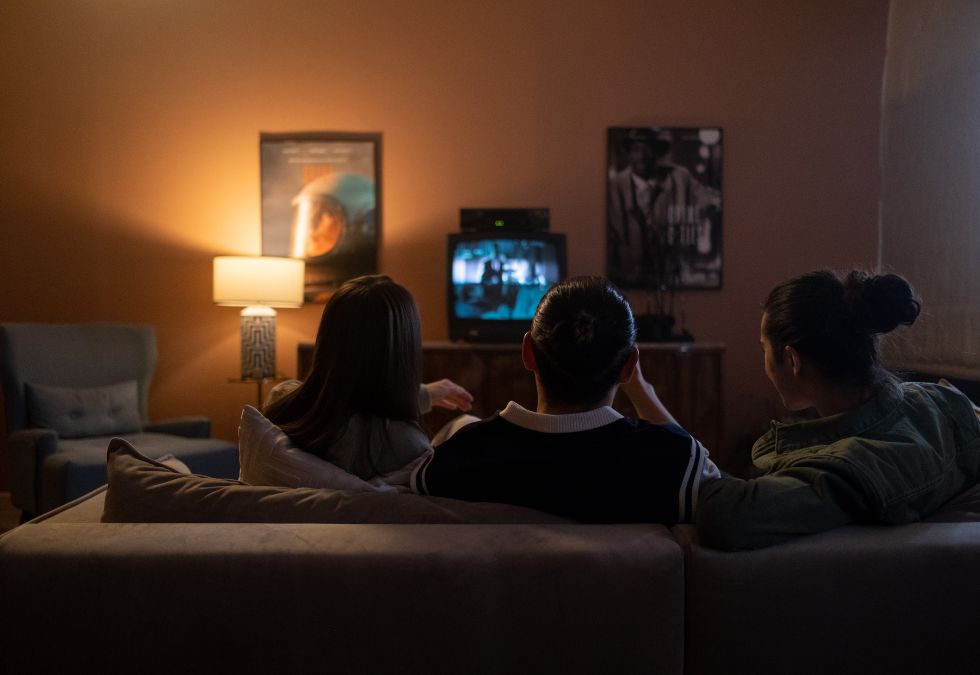 Television in the House