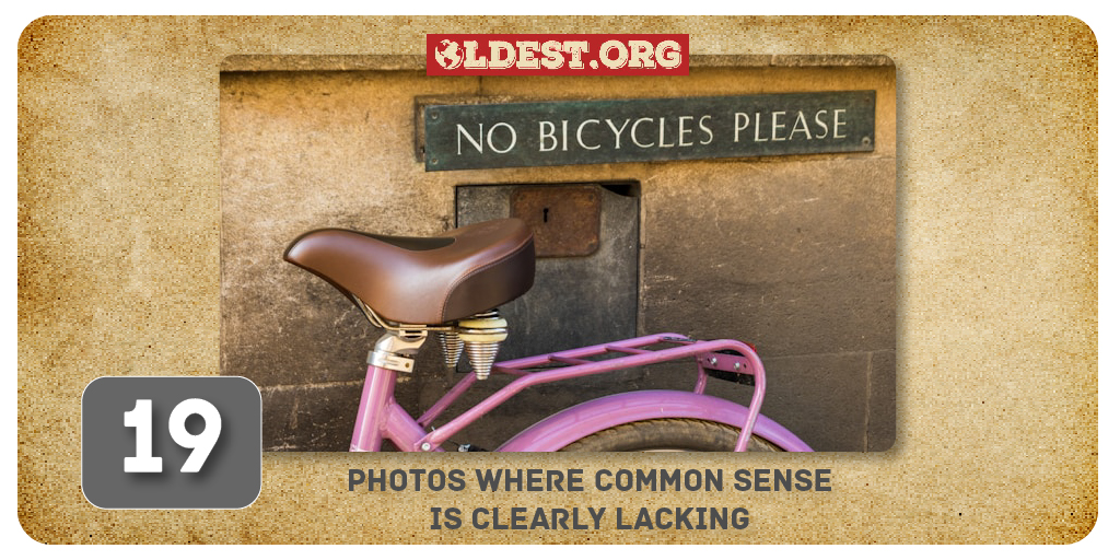 Photos Where Common Sense Is Clearly Lacking