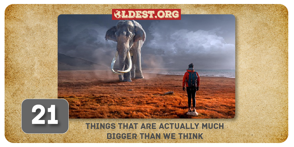21 Things That Are Actually Much Bigger Than We Think