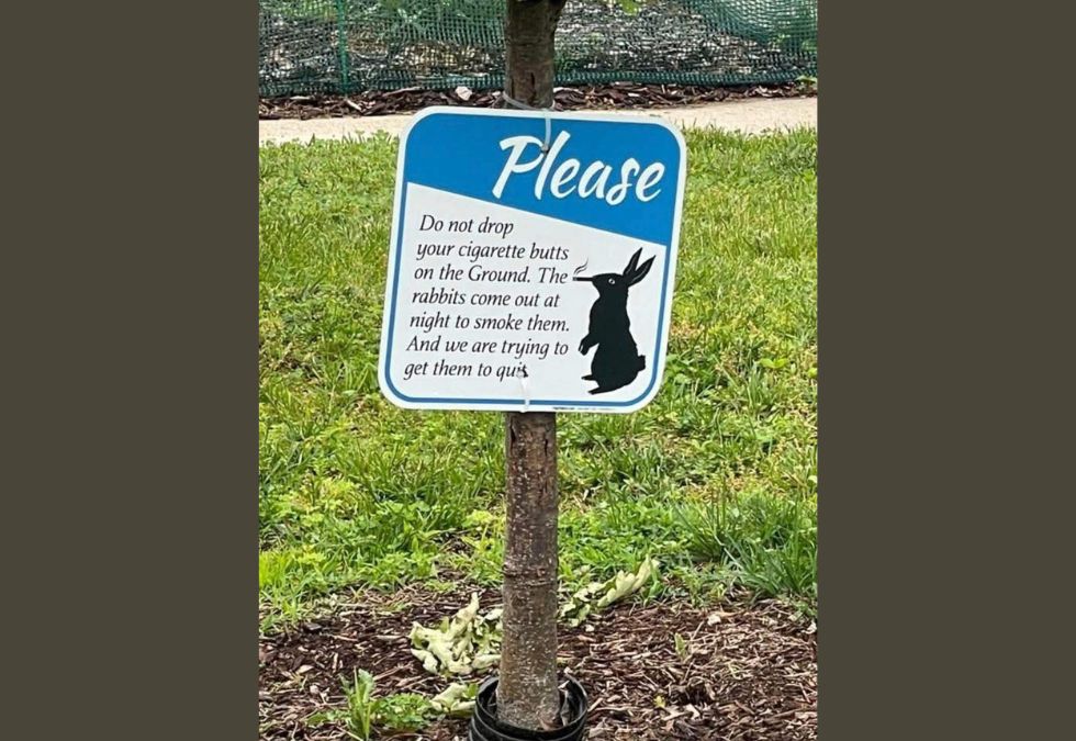 25 Clever Signs That Got The Message Across With Humor