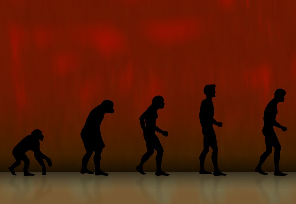 Human Body Part That No Other Animal Has