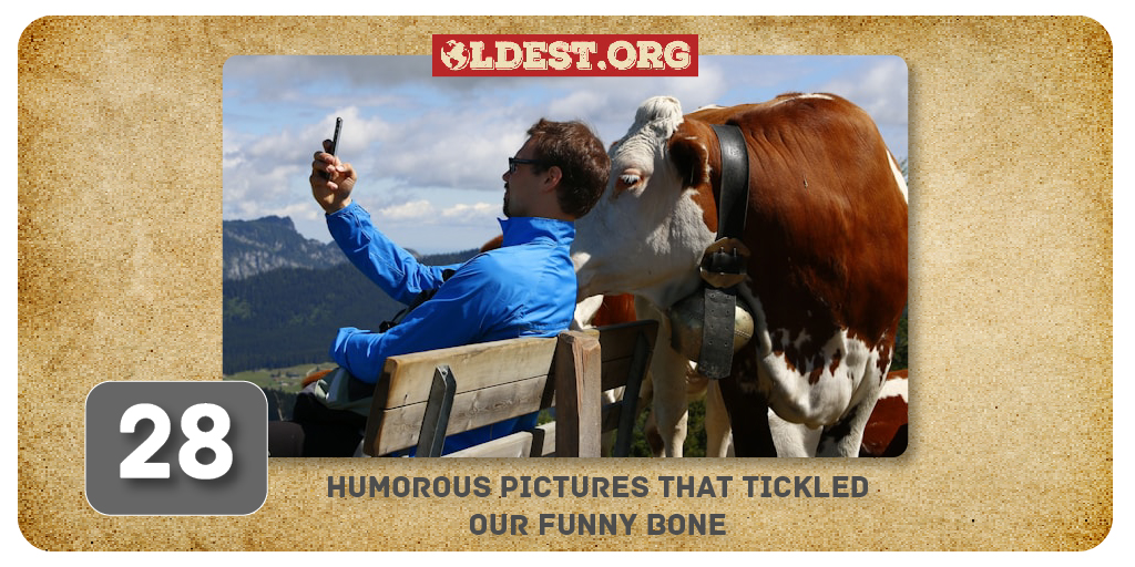 Humurius 28 Humorous Pictures That Tickled Our Funny Bone