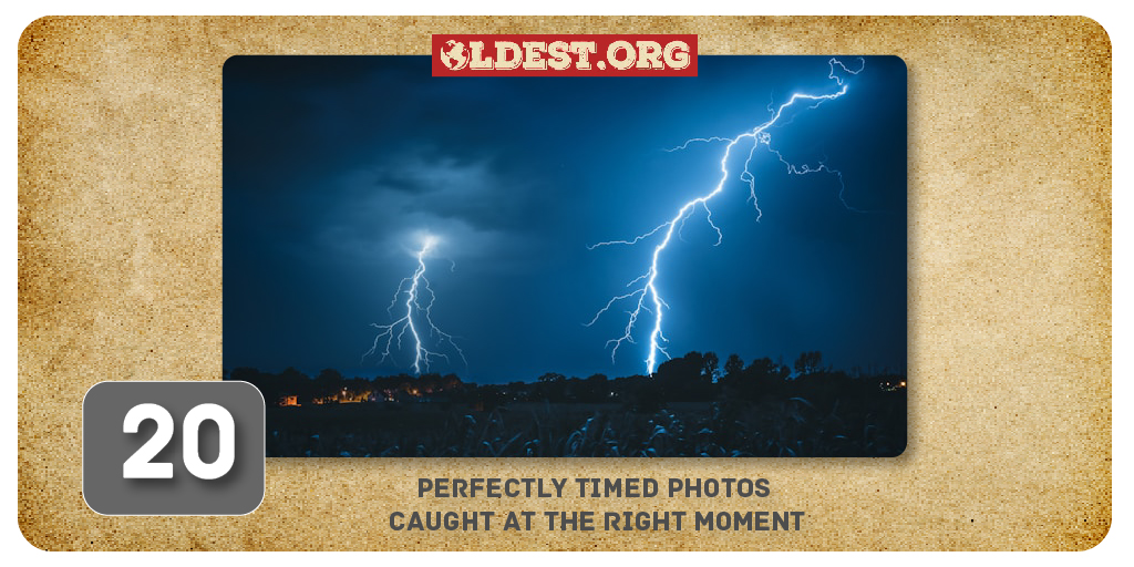 Timing Photo 20 Perfectly Timed Photos Caught At The Right Moment