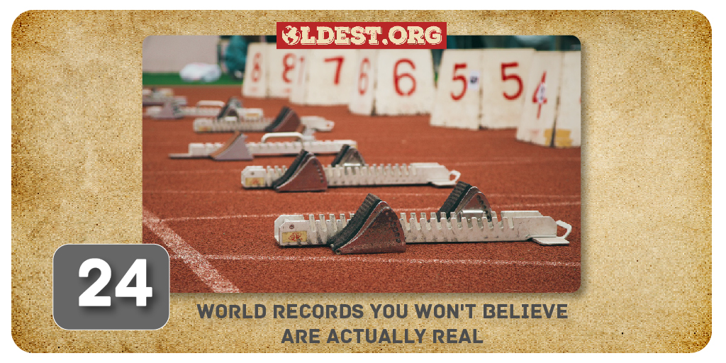 24 World Records You Won't Believe Are Actually Real