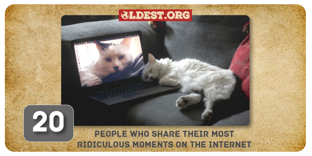 People Who Share Their Most Ridiculous Moments on the Internet