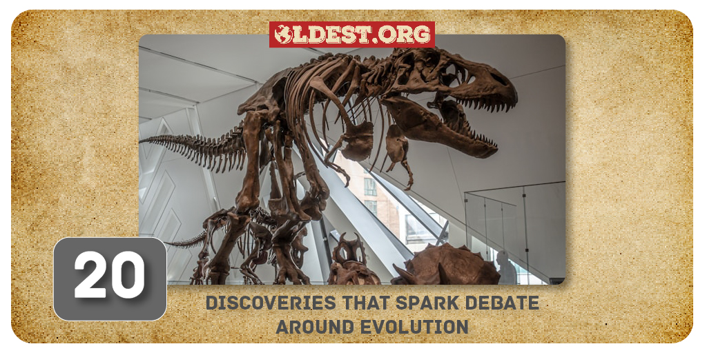 20 Discoveries That Spark Debate Around Evolution
