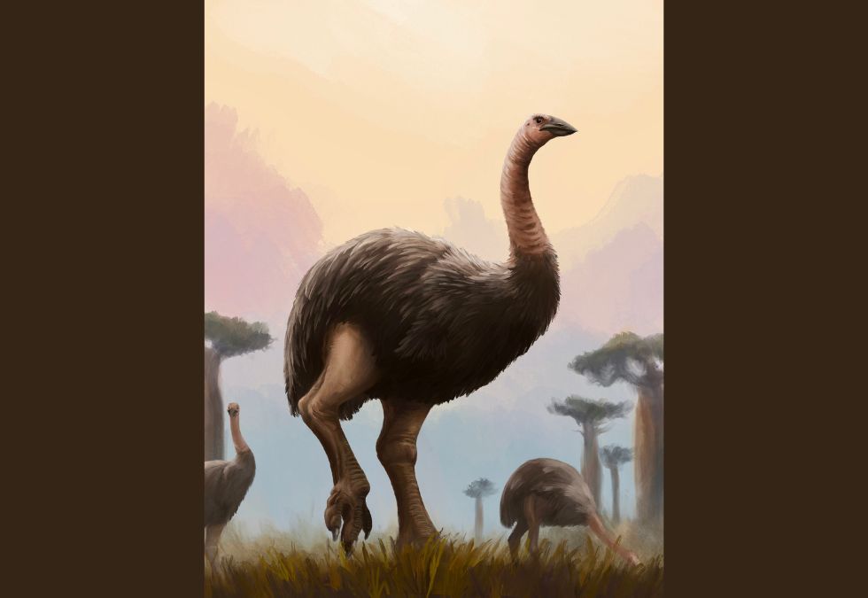 25 Species That Have Been Lost Forever in the Past 150 Years