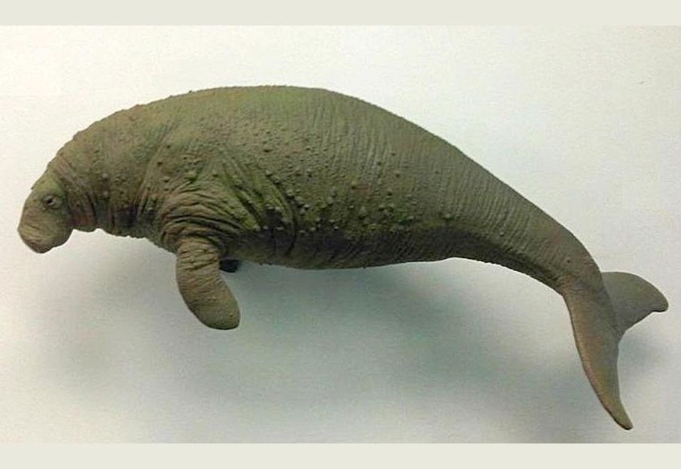 25 Species That Have Been Lost Forever in the Past 150 Years