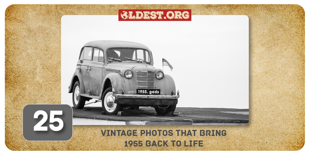 25 Vintage Photos That Bring 1955 Back to Life