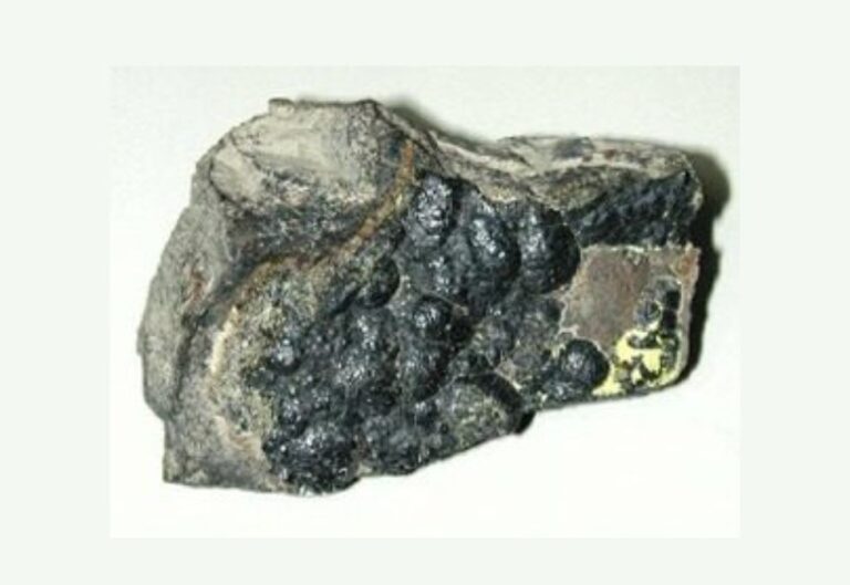 Rarest Thing 20 of the Most Unbelievably Rare Things on the Planet - Oldest.org