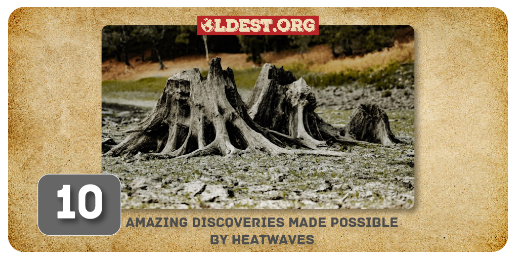 10 Amazing Discoveries Made Possible by Heatwaves